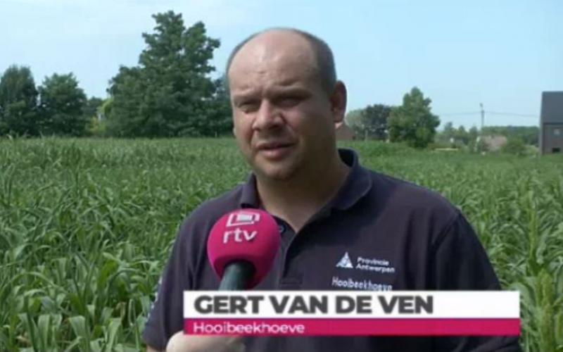 Miniatuurvoorbeeld
