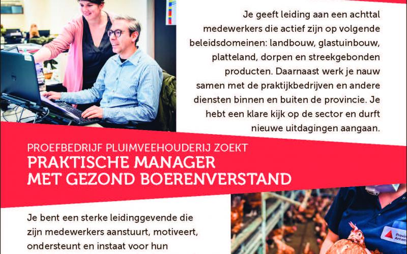 Miniatuurvoorbeeld